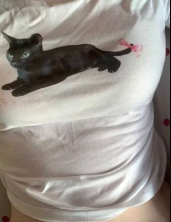 Cat With Bow Preppy Baby Tee C - Baby Y2K Clothing recension och pris