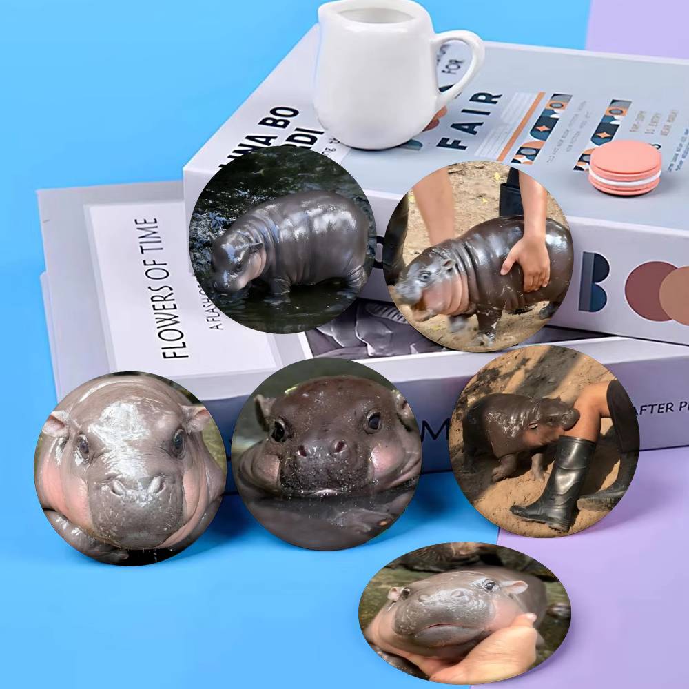 Baby Hippo Moo Deng Badge Tinp - Baby Clothing In Japan recension och pris